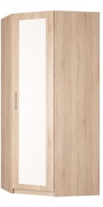 Угловой шкаф распашной Реал (YR-230х884 (9)-М Вар.1), с зеркалом в Ижевске