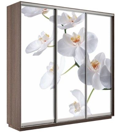 Шкаф трехдверный Экспресс 1800х600х2200, Орхидея бела/шимо темный в Глазове - изображение