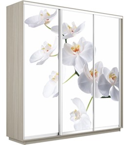Шкаф 3-дверный Экспресс 1800х600х2200, Орхидея белая/шимо светлый в Глазове