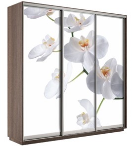 Шкаф 3-створчатый Экспресс 2100х600х2200, Орхидея белая/шимо темный в Сарапуле