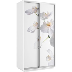 Шкаф Хит 1200x600x2200, белая орхидея, белый снег в Глазове
