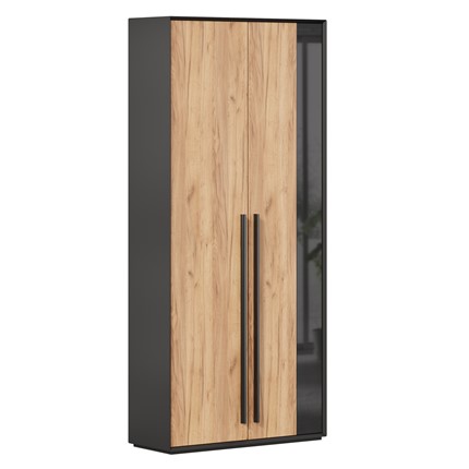 Шкаф для прихожей 2-дверный Неаполь ЛД.134050.000 (Черный/Дуб Золотой) в Сарапуле - изображение