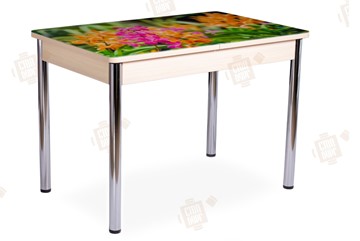 Кухонный стол раздвижной Айсберг-02 СТФ, Дуб ЛДСП/полевые цветы/ноги хром прямые в Сарапуле