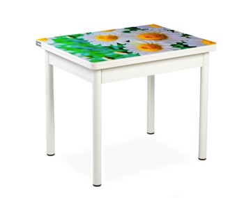 Кухонный пристенный стол СПА-01 СТФ, белый/фотопечать ромашки/опоры прямые белые в Сарапуле