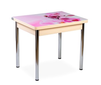 Кухонный пристенный стол СПА-01 СТФ, молочный дуб/фотопечать орхидея/опоры прямые хром в Глазове