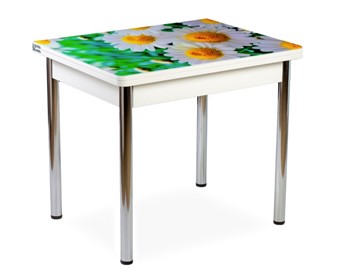 Кухонный пристенный стол СПА-02 СТФ, белый/фотопечать ромашки/опоры хром в Сарапуле