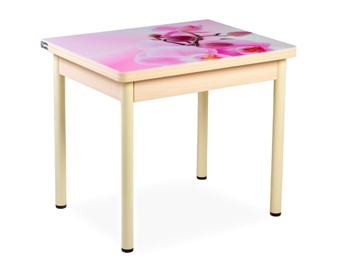 Кухонный пристенный стол СПА-02 СТФ, молочный дуб/фотопечать орхидея/опоры бежевый в Глазове