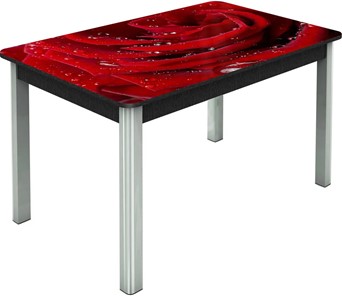 Кухонный стол раскладной Гамбург исп. Мини, ноги метал. крашеные №23, Фотопечать (Цветы №39) в Сарапуле - предосмотр
