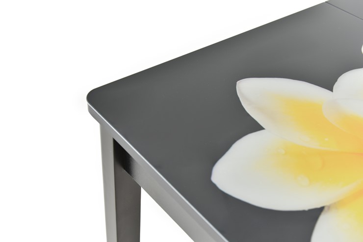 Кухонный раскладной стол Гамбург исп.1 ноги метал. крашеные №23, Фотопечать (Текстура №74) в Сарапуле - изображение 8