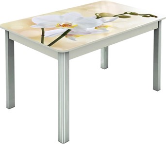 Обеденный раздвижной стол Гамбург исп.2 ноги метал. крашеные №23, Фотопечать (Цветы №5) в Глазове