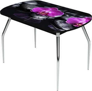 Раздвижной стол Ривьера исп.1 ноги метал. крашеные №24 Фотопечать (Цветы №14) в Глазове