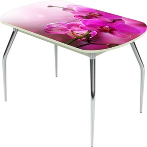 Кухонный стол раздвижной Ривьера исп.1 ноги метал. крашеные №24 Фотопечать (Цветы №16) в Сарапуле
