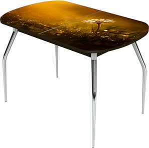 Кухонный стол раздвижной Ривьера исп.2 ноги метал. крашеные №24 Фотопечать (Цветы №43) в Сарапуле - предосмотр