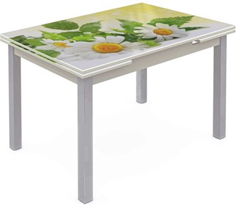 Кухонный стол раскладной Шанхай исп. 2, ноги метал. крашеные №21 Фотопечать (Цветы №3) в Глазове