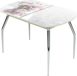 Обеденный раздвижной стол Ривьера исп.1 ноги хром №5 Фотопечать (Цветы №47) в Сарапуле