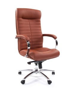 Компьютерное кресло CHAIRMAN 480 Экокожа Terra 111 (коричневая) в Глазове - предосмотр