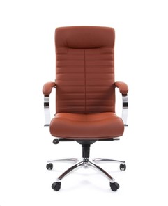 Компьютерное кресло CHAIRMAN 480 Экокожа Terra 111 (коричневая) в Глазове - предосмотр 1