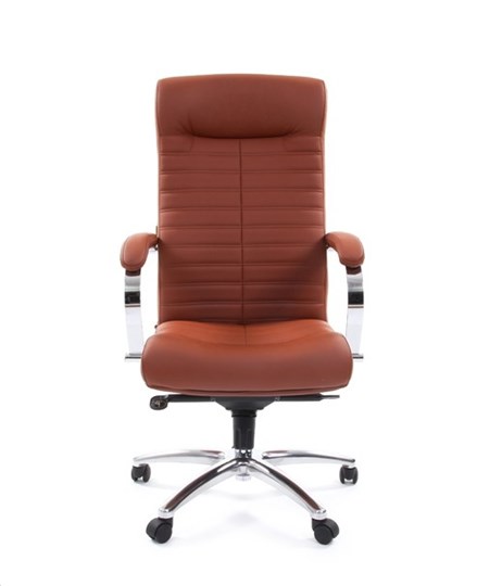 Компьютерное кресло CHAIRMAN 480 Экокожа Terra 111 (коричневая) в Глазове - изображение 1
