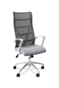 Офисное кресло для руководителя Топ X белый каркас, сетка/ткань TW / серая/ серая в Сарапуле - предосмотр