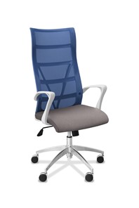Офисное кресло для руководителя Топ X белый каркас, сетка/ткань TW / синяя/серая в Ижевске