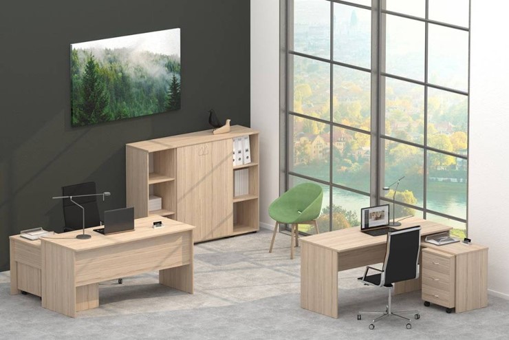 Офисный набор мебели Twin в Сарапуле - изображение 4