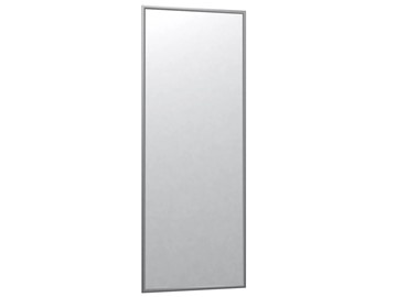 Зеркало навесное в спальню Сельетта-6 матовое серебро (1100х400х9) в Глазове