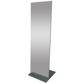 Зеркало напольное Стелла (графит темный) 163,5 см x 50 см в Сарапуле
