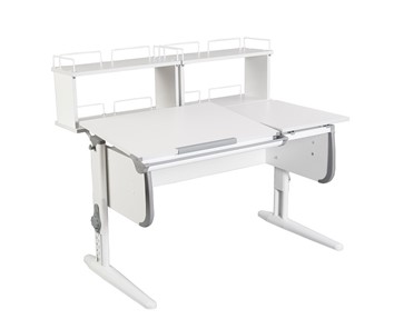 Детский стол-трансформер 1/75-40 (СУТ.25) + Polka_zz 1/600 (2 шт.)  белый/белый/Серый в Сарапуле