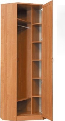 Шкаф распашной 402 угловой со штангой, цвет Дуб Сонома в Сарапуле - изображение 1