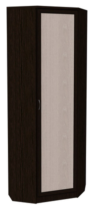 Шкаф 402 угловой со штангой, цвет Венге в Сарапуле - изображение