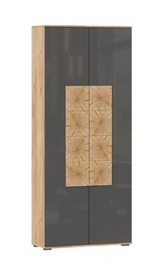 Шкаф двухстворчатый Фиджи с декоративными накладками 659.310, Дуб Золотой/Антрацит в Сарапуле