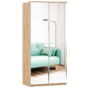 Шкаф двухстворчатый с 2-мя зеркалами Фиджи, 659.238, цвет белый в Глазове