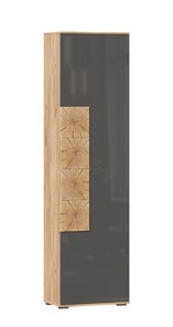 Шкаф одностворчатый Фиджи с декоративными накладками 659.300, Дуб Золотой/Антрацит в Глазове