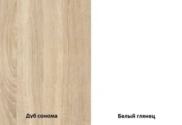 Шкаф двухдверный Некст, цвет дуб сонома/белый в Сарапуле - предосмотр 1