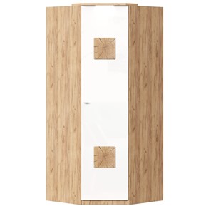 Шкаф угловой 45 с декоративной накладкой Фиджи, 659.248, белый в Сарапуле - предосмотр