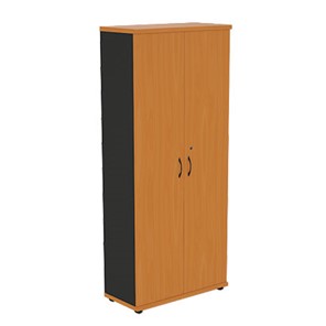 Шкаф 2-створчатый Моно-Люкс R5S05 в Сарапуле - предосмотр