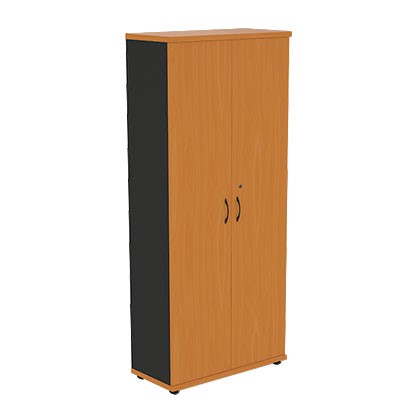 Шкаф 2-створчатый Моно-Люкс R5S05 в Сарапуле - изображение