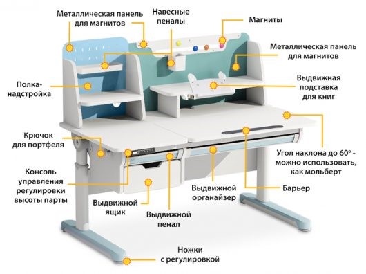 Рост ребенка и высота парты